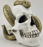 skeleton skull white gold snake man statue magic mythical fantasy