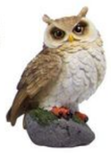brown owl small 15cm tree branch rock